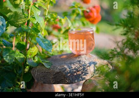 Ein sonniger Sommertag im Garten und ein frisches Beerengetränk. Ein Glas Limonade im Garten auf einem Steinstand in der Nähe eines Rosenbusches. Ein rosafarbenes Getränk in einem transparenten Glas steht auf einem Stein im Garten. Hochwertige Fotos Stockfoto