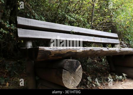 Alte Holzbank am Rande des Waldes Stockfoto