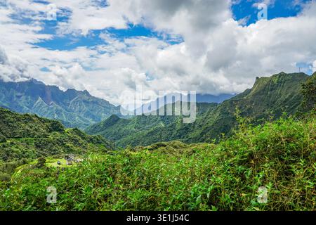 Grünes Bergtal mit dichter Vegetation unter bewölktem Himmel aus der erhöhten Hügellandschaft Stockfoto