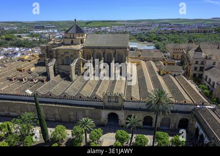 Panoramablick auf die Kathedrale Moschee von Cordoba, Mezquita-Kathedrale, mit umliegenden Palmen, Panoramablick auf eine Kathedrale mit raffiniertem Dach Stockfoto