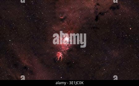 Die Sternentstehungsregion NGC 2264 mit dem Kegelnebel ist voller Sterne und dunkler Wolken. Es erscheint am dunklen Himmel des Weltraums und zeigt die Schönheit von Stockfoto