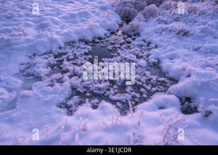 Teich mit Eiskristallen in einem Sumpf, Norrbotten, Lappland, Schweden, November 2022 Stockfoto