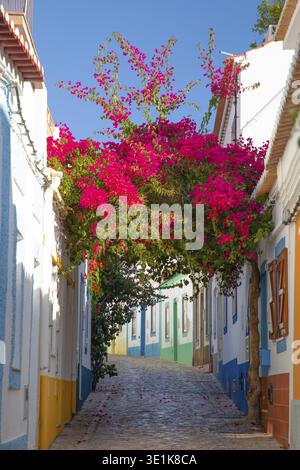 Ferragudo, Algarve, Portugal.26. september 2020. Traditionelle weiße Häuser mit Ziegeldächern in engen Gassen, dekoriert mit Bougainvillea-Blumen im Th Stockfoto