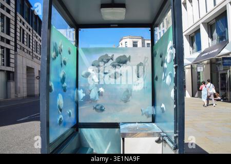 London, Großbritannien. August 2024. Ein neues Banksy-Kunstwerk erschien auf einer Polizeiwache in der City of London. Das Kunstwerk, das eine Fischschule darstellt, wäre das siebte neue Kunstwerk des schwer fassbaren Straßenkünstlers in ebenso vielen Tagen in London. Quelle: Vuk Valcic/Alamy Live News Stockfoto