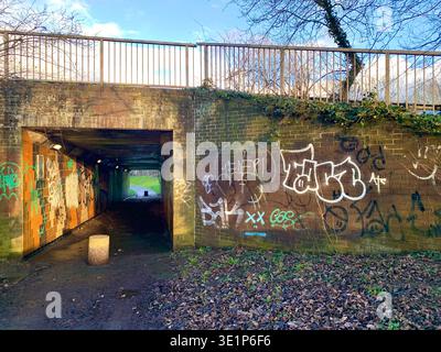 Graffiti-bedeckte Fußgängerunterführung mit der A43 Northampton Road Bridge und Street Art auf den Backsteinmauern und der Innenfläche gefallene Blätter Stockfoto