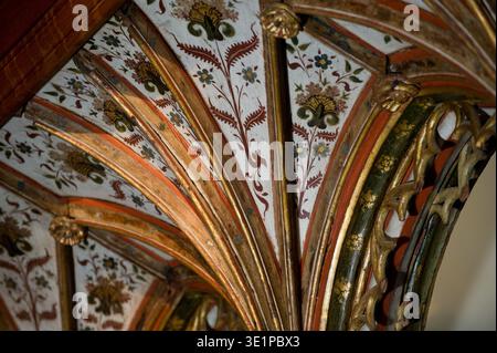 The Rood Screen & Detail in St Helen's Church, Ranworth, Norfolk, Großbritannien. Von Norden (links) sind St. Simon, St. Thomas, St. Bartholomäus, St. James, St. Andrew und St. Peter. Auf der Südseite befinden sich St. Paul, St. John, St. Philipp, St. James the Less, St. Jude und St. Matthäus. In der Kapelle des Nordschiffs, St. Etheldreda und St. Barbara, Johannes der Täufer und St. Agnes. In der Südschiffskapelle St. Mary Salome mit St. James und St. John. Dann die selige Jungfrau und das Kind, und die heilige Maria Kleopas mit ihren vier Kindern, Jakobus der Letzte, Simon, Judas und Joseph, und die heilige Margarete. Stockfoto