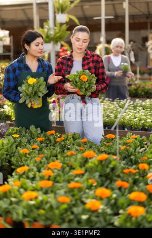 Weibliche Verkäuferin hilft jungen Frauen bei der Wahl der Ringelblume Stockfoto