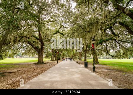 Savannah, GA, 28. Dezember 2023: Blick auf eine malerische Gasse im Forsyth Park im historischen Viertel Savannah, Georgia Stockfoto