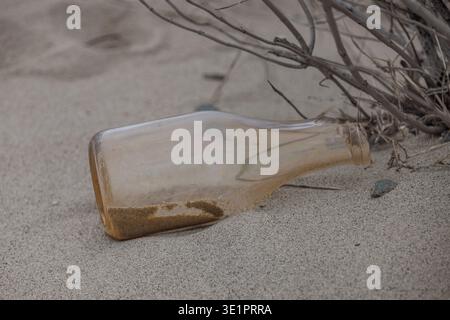 Verwitterte Glasflasche halb in Sand neben getrockneter Vegetation am Sandy Hook Beach, New Jersey. Gateway National Recreation Area, USA. Stockfoto