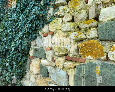 Eine Steinmauer zeigt verschiedene Formen und Farben mit grünem Efeu. Einige Teile haben Moos und kleine Ziegel. Sonnenlicht hebt die Texturen in hervor Stockfoto