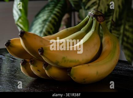 Ein Stillleben-Bild mit Bananen. Stockfoto