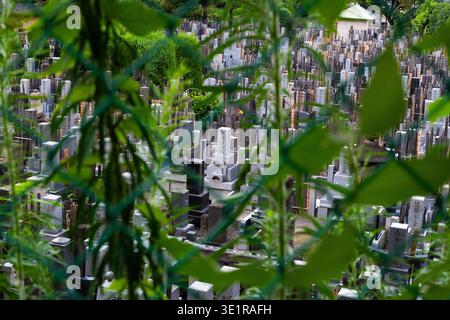 Ein Blick durch grüne Blätter auf einen überfüllten japanischen Friedhof in Tokio mit traditionellen Steingrabsteinen und hölzernen Gedenktafeln. Stockfoto