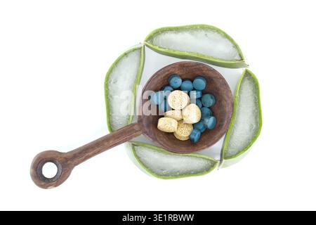 Eine Ansicht von oben nach unten auf Aloe Vera Pflanzenscheiben, die einen Kreis um einen Holzlöffel bilden, der blaue und gelbe Nahrungsergänzungsmittel enthält Stockfoto