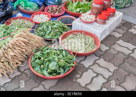 Frischer Winterspinat und verschiedene lokale Gemüsesorten werden auf dem 5-tägigen traditionellen Markt Yeongam in Korea in roten Plastikbecken ausgestellt. Stockfoto
