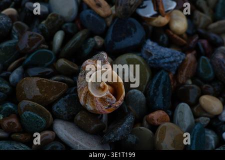 Eine vielfältige visuelle Serie, die zeitgenössische städtische Strukturen und natürliche Küstenelemente präsentiert. Von rhythmischen Wolkenkratzern Balkonen und abstrakten Glas f Stockfoto