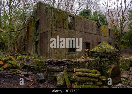 Moosbedeckte Steinmauern und verfallene Gebäude in dichten Wäldern des Dorothea Schieferbruchs Stockfoto