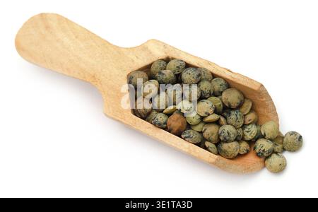 French Green Linsen oder Le Puy Green Linsen Stockfoto