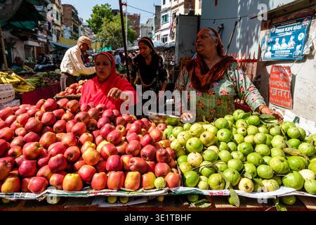 Händler in Udaipur stehen an einem hellen, sonnigen Tag hinter großen Hügeln roter Äpfel und grüner Guavas an einem Obststand am Straßenrand. Stockfoto
