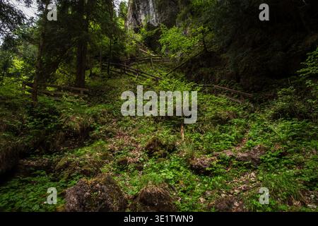 Der Aubachfall ist ein Naturdenkmal im Lammertal in Abtenau. Der Aubach fließt dabei zwischen Egelseehörndl und Einberg über eine Geländekante über fünf Kaskaden, bevor er 200 Meter danach in die Lammer Mündet. 17.05.2020. // der Aubacher Wasserfall ist ein Naturdenkmal im Lammertal bei Abtenau. Der Aubach fließt zwischen Egelseehörndl und Einberg über einen Kamm und stürzt fünf Ebenen ab, bevor er 200 Meter flussabwärts in die Lammer mündet. Mai 2020. - 20200517 PD8975 Stockfoto