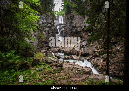 Der Aubachfall ist ein Naturdenkmal im Lammertal in Abtenau. Der Aubach fließt dabei zwischen Egelseehörndl und Einberg über eine Geländekante über fünf Kaskaden, bevor er 200 Meter danach in die Lammer Mündet. 17.05.2020. // der Aubacher Wasserfall ist ein Naturdenkmal im Lammertal bei Abtenau. Der Aubach fließt zwischen Egelseehörndl und Einberg über einen Kamm und stürzt fünf Ebenen ab, bevor er 200 Meter flussabwärts in die Lammer mündet. Mai 2020. - 20200517 PD8978 Stockfoto