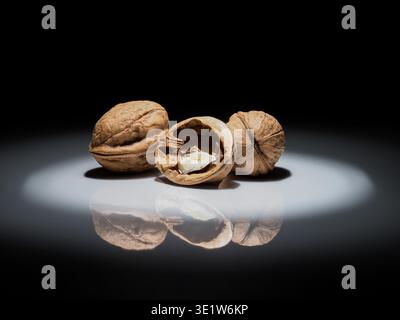 Walnüsse in einem Kreis aus weißem Licht auf schwarzem Hintergrund mit Reflexion in einem glänzenden Substrat, Nahaufnahme Stockfoto
