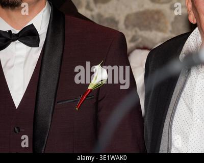 Nahaufnahme eines Bräutigams, der einen eleganten Anzug mit einer Boutonniere mit einer weißen Calla-Lilie trägt. Formelle Hochzeitskleidung mit Schleife Stockfoto