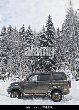 Ein Auto steckt im Schnee fest, mit Frost auf der Oberfläche, umgeben von Bäumen, die mit einer Decke der Wintersaison bedeckt sind. Stockfoto