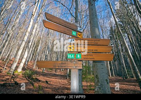 Wegweiser im Nationalpark Bayerischer Wald, Bayerischer Wald, Bayern, Deutschland Stockfoto