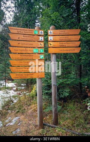 Wegweiser im Nationalpark Bayerischer Wald, Bayerischer Wald, Bayern, Deutschland Stockfoto