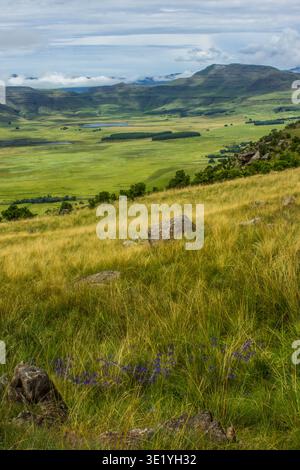 Blick über ein üppiges grünes Tal inmitten der Berge des Drakensbergs, Stockfoto