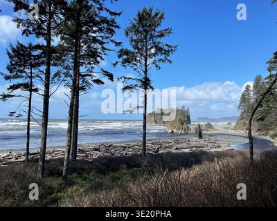 Blick auf den Ruby Beach an der Pazifikküste im Olympic National Park, Washington, USA, mit Treibholz, Brandung und bewaldeten Klippen Stockfoto