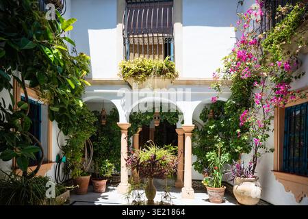 Traditioneller andalusischer Innenhof mit Topfpflanzen in Cordoba, Spanien Stockfoto