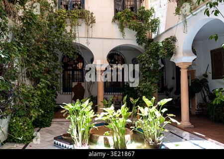 Traditioneller andalusischer Innenhof mit Topfpflanzen in Cordoba, Spanien Stockfoto
