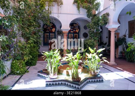 Traditioneller andalusischer Innenhof mit Topfpflanzen in Cordoba, Spanien Stockfoto