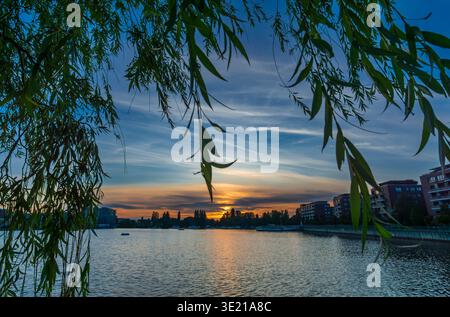 Abendblick auf die Rummelsburger Bucht in Berlin mit ruhigem Wasser und warmem Sonnenuntergangslicht am Horizont, eingerahmt von hängenden Baumzweigen im Vordergrund. Stockfoto