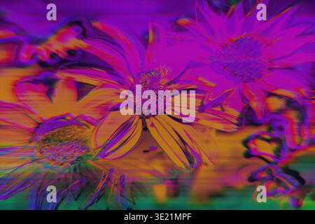 Neon Glitch Flowers Displacement mit chromatischem Aberrationseffekt Stockfoto
