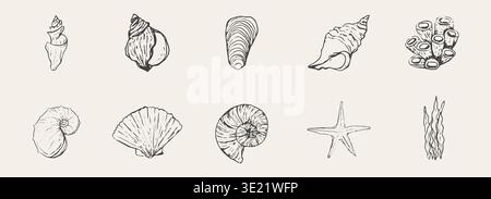 Blaue Muscheln und Seesterne zeichnen handgezeichnete Illustrationen, Küstenillustration. Minimalistische Strichkunst. Designelemente für den Sommerurlaub für trendige Prints. Vektorabbildung Stock Vektor