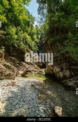 Wanderung entlang des Zinkenbach in der Osterhorngruppe beim Wolfgangsee bei Sankt Gilgen und Strobl im Salzburger Salzkammergut am 18.06.2021. // Wanderung entlang des Zinkenbachs in der Osterhorngruppe am Wolfgangsee, nahe Sankt Gilgen und Strobl im Salzkammergut am 18. Juni 2021. - 20210618 PD21630 Stockfoto