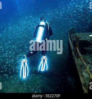 Taucher erkunden Unterwasser-Schiffswracks, umgeben von lebendigen Fischen. La Paz, Baja California, Mexiko Stockfoto