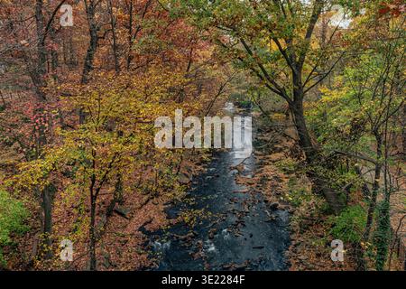 Aus der Vogelperspektive auf einen lebhaften Herbstwald mit einem sich windenden Fluss, der durch ihn fließt. Central Park, New York City, USA Stockfoto