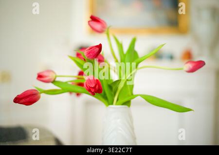 Eine weiße Vase mit roten Tulpen auf einem verschwommenen Innenhintergrund. Brüssel, Belgien Stockfoto