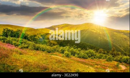 Sonnenuntergang über Panoramablick mit grüner Wiese und lila Blumen an der Schotterstraße am Hang eines Hügels. Wunderschöne Landschaft des Bergrücken unter Stockfoto