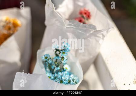 Kleine, zarte blaue Blüten und kleine rote Blüten, die in einfache weiße Papiertüten gewickelt sind und in hellem, warmem Sonnenlicht sitzen und eine friedliche, sanfte Beruhigung hervorrufen Stockfoto