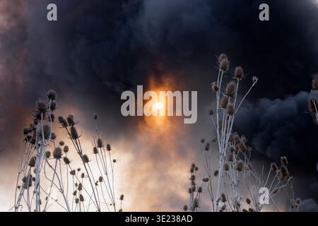 Rauch steigt über einem Waldfeuer auf, der die Sonne während einer Hitzewelle im Sommer blockiert. Stockfoto
