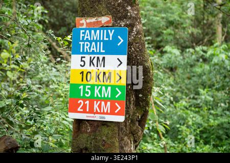 Wanderweg im Ngong Road Forest, Nairobi, Kenia Stockfoto