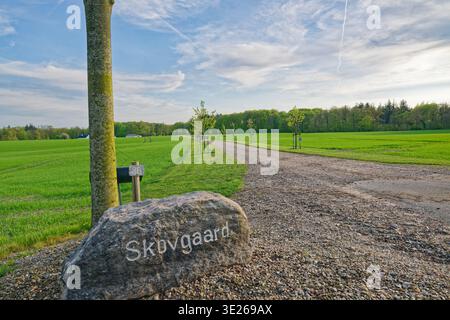 Eine Schotterstraße zieht sich durch leuchtende grüne Felder, die von jungen Bäumen gesäumt sind, unter einem teilweise bewölkten Himmel, mit einem Steinschild, in das ein Text im for eingraviert ist Stockfoto