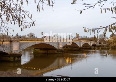Putney Bridge mit Fahrzeugen, die über die themse fahren, reflektieren bei Dämmerung die Lichter im Wasser durch Bäume mit Haselnusskatkins Stockfoto