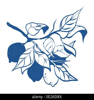 Illustration eines Zitronenzweiges mit Blättern. Charmante handgezeichnete Zitrone, eine Zitrusfrucht im Skizzenstil in Blau. Abbildung der Vektorlinie. Stock Vektor