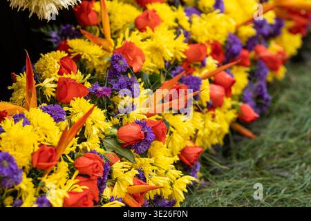 Festival de Flores - Antigua Guatemala - Ein lebendiges Begräbnisblütenspray mit roten Rosen, gelben Chrysanthemen und violetten Astern auf Gras Stockfoto