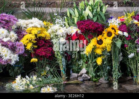 Aguacatan, Guatemala – lebhafte Blumensträuße und Blumenangebote an einem Steinufer mit Sonnenblumen, Chrysanthemen, Rosen und Lilien Stockfoto